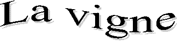 Vign_Pic_01